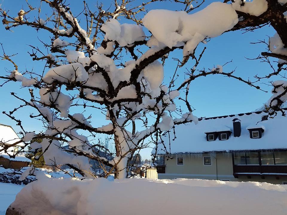 Hotel Tauplitzerhof Exteriör bild